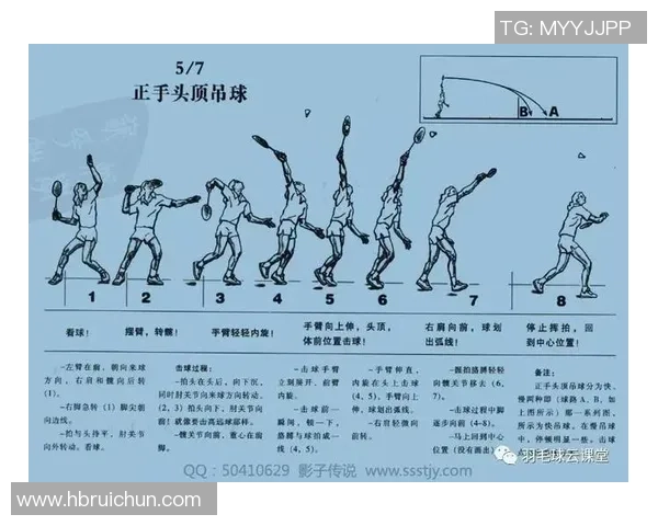 深入分析北京羽毛球队独特的节奏打法与战术特点